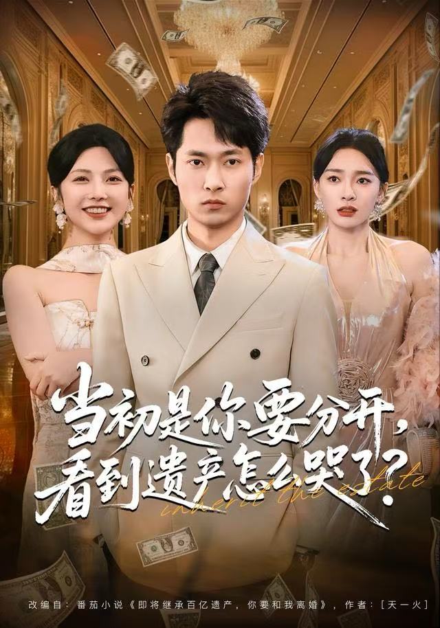 当初是你要分开-看到遗产怎么哭了