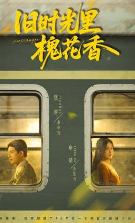 旧时光里槐花香