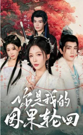 你是我的因果轮回