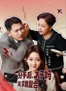 分手后，太子妈哭求我复合