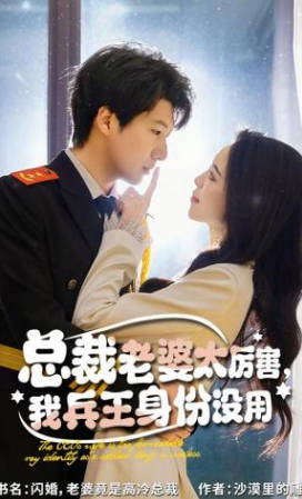 总裁老婆太厉害，我兵王身份没用