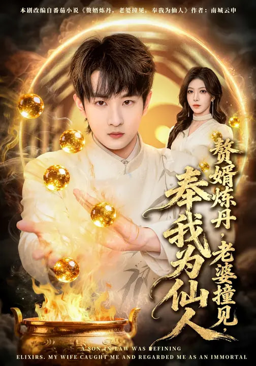 赘婿炼丹，老婆撞见奉我为仙人