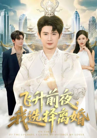 飞升前夜，我选择离婚