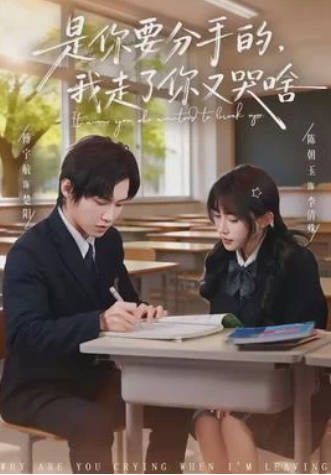 是你要分手的，我走了你又哭啥