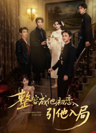 整容成他初恋-引他入局