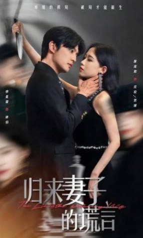 归来妻子的谎言