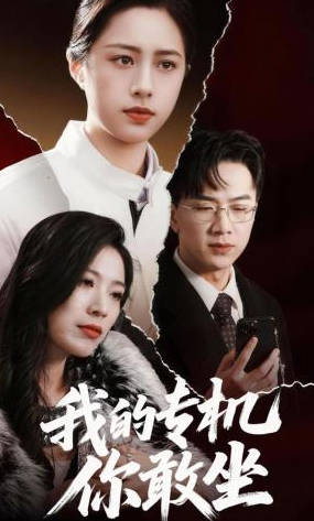 我的专机你敢坐