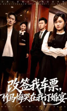 改签我车票-竹马悔哭在我订婚宴