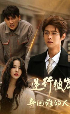 逆行彼岸夺回谁的人生