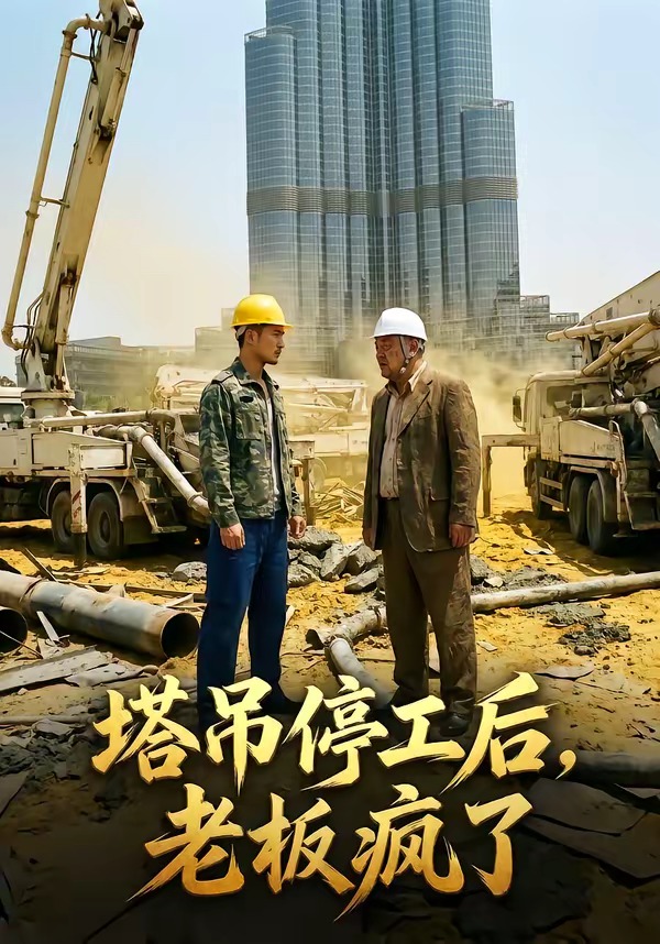 塔吊停工后老板疯了    Ai漫剧