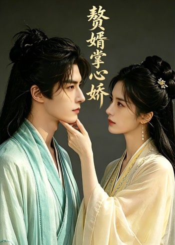 赘婿掌中娇    Ai