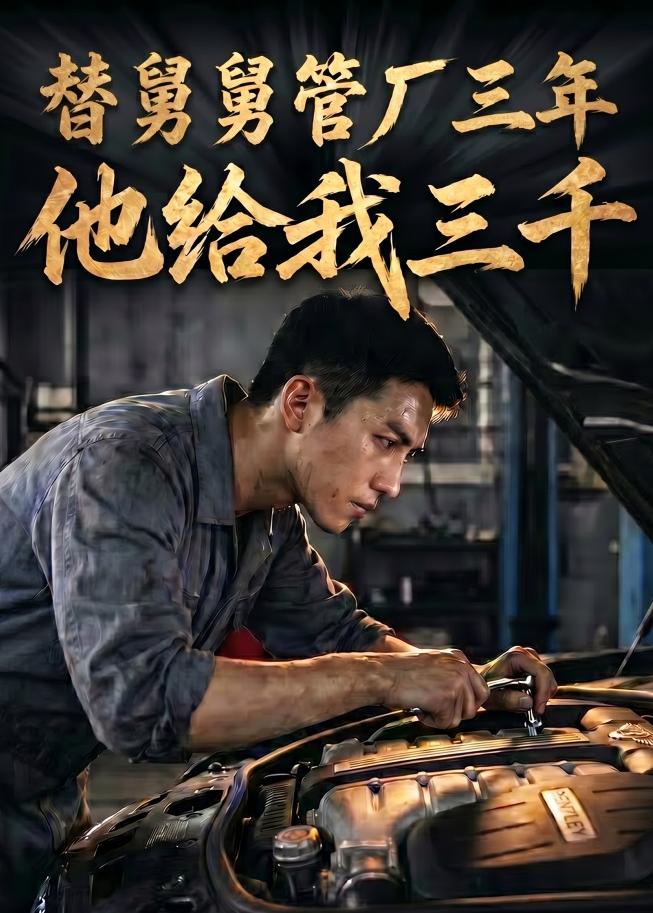 替舅舅管厂三年他给我三千    Ai
