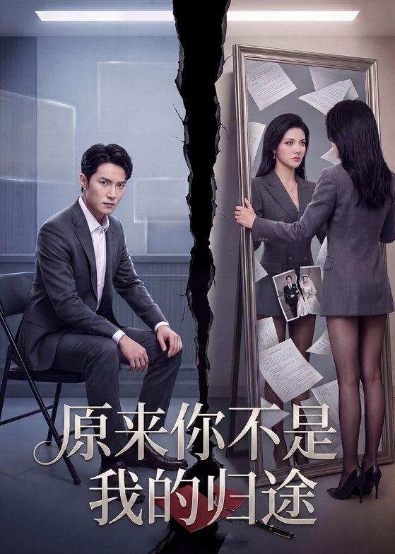 原来你不是我的归途    AI